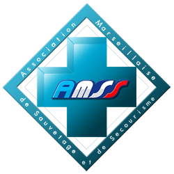 Logo AMSS13